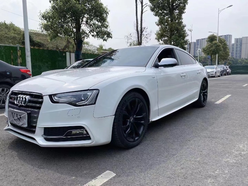 成都13年奥迪S53