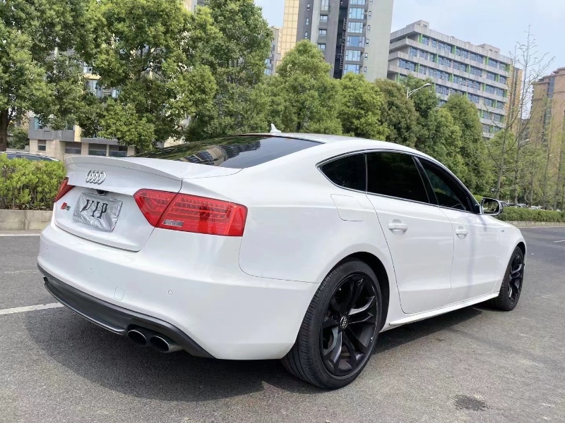 成都13年奥迪S59