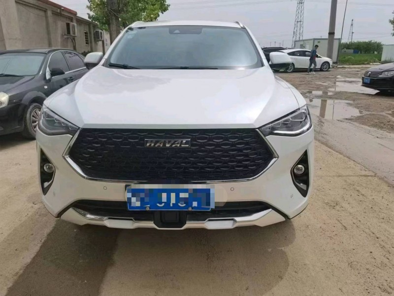 保定20年哈弗F7x1