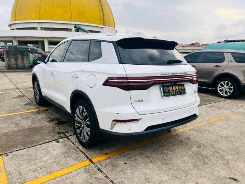 东莞20年比亚迪宋新能源8