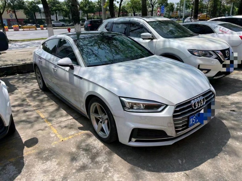广州17年奥迪A52