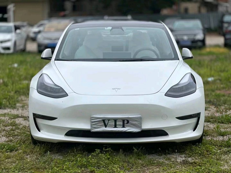 廈門21年特斯拉MODEL 31