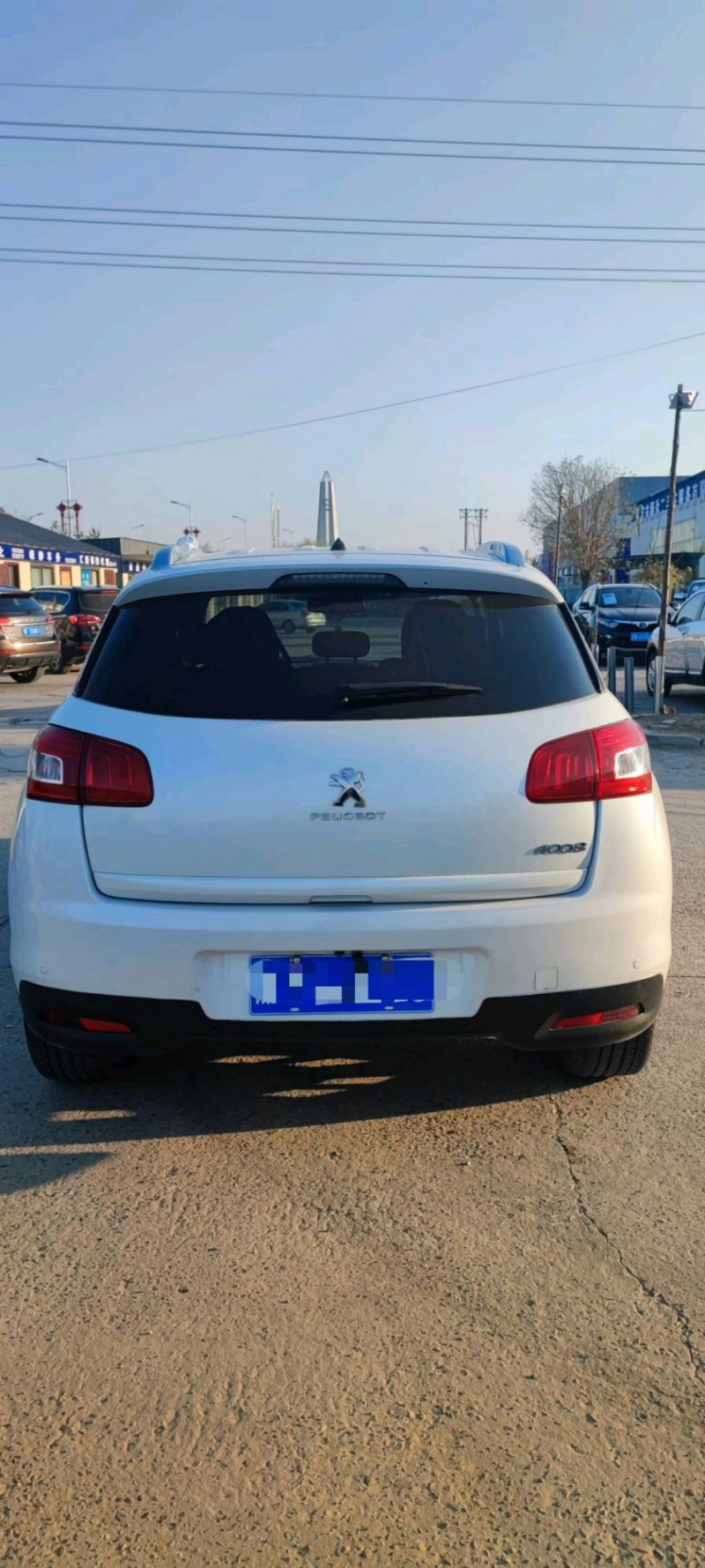 保定17年标致40089