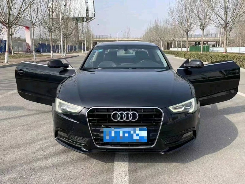 保定13年奥迪A51