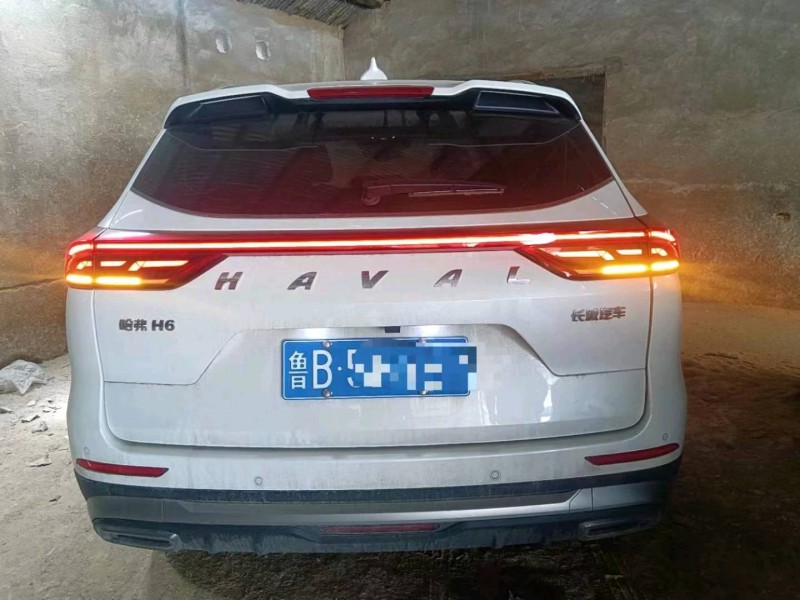 潍坊22年哈弗H64