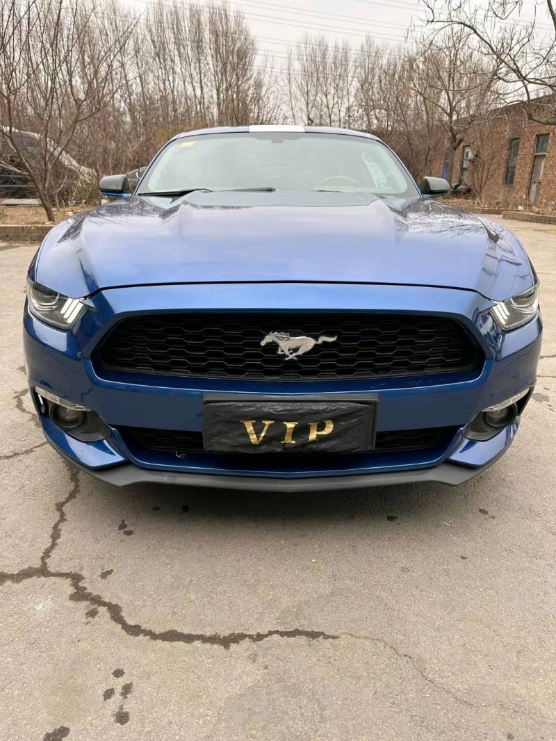 沈阳17年福特野马1