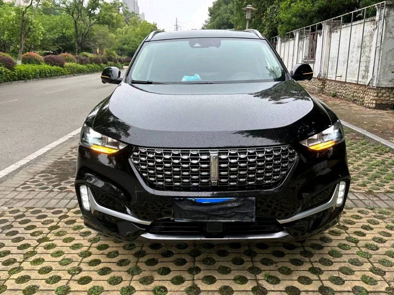 武汉21年长城汽车WEY VV61