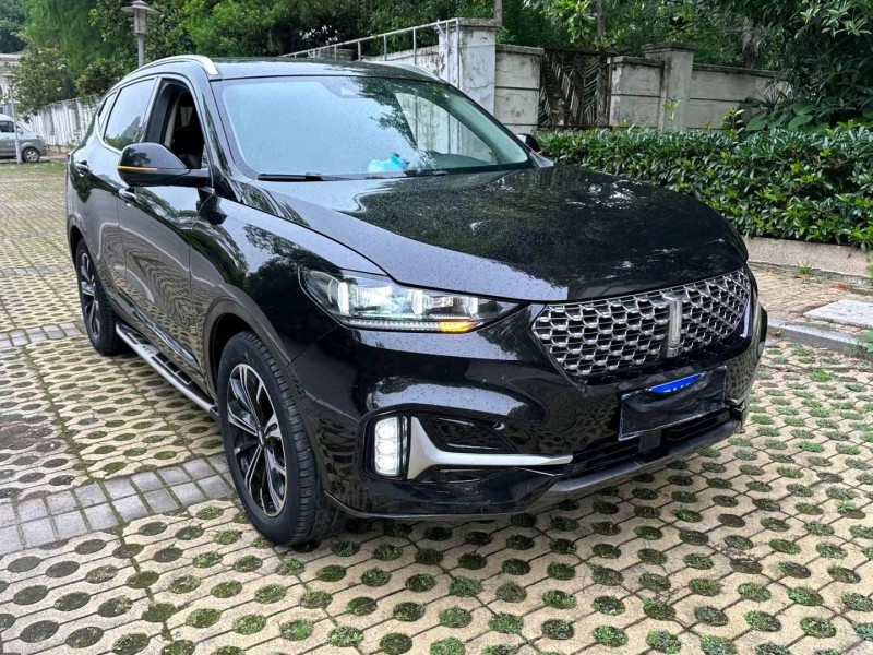 武汉21年长城汽车WEY VV62