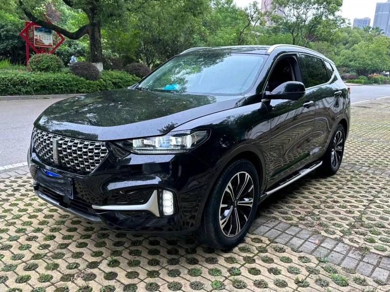 武汉21年长城汽车WEY VV63