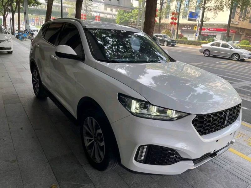 广州18年长城汽车WEY VV62
