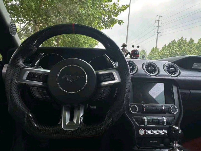 枣庄15年福特野马4