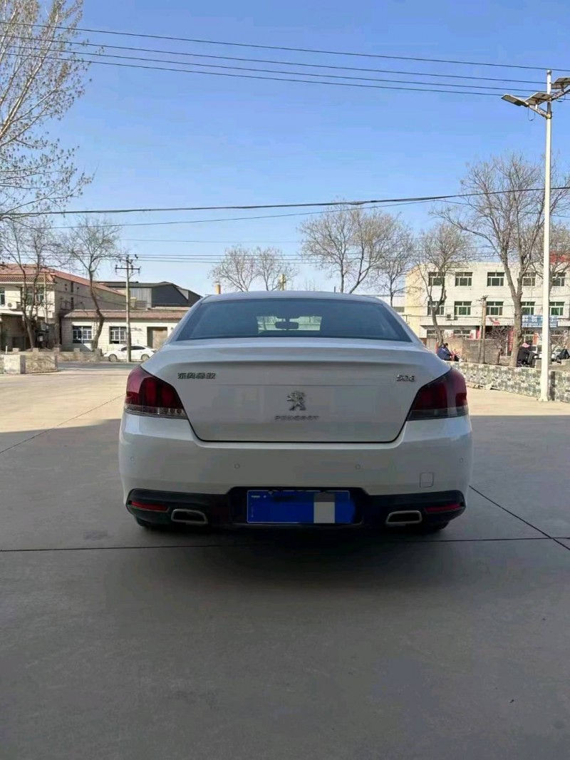 保定16年标致5089