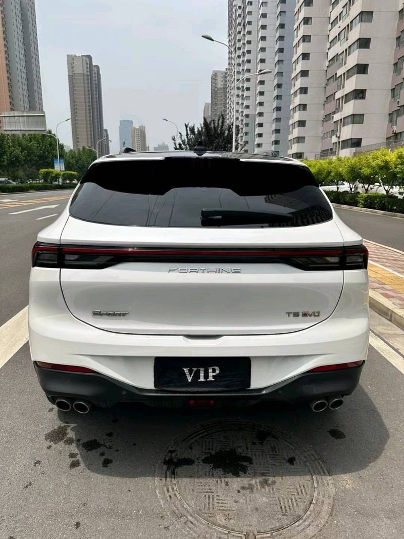 石家庄22年东风T56