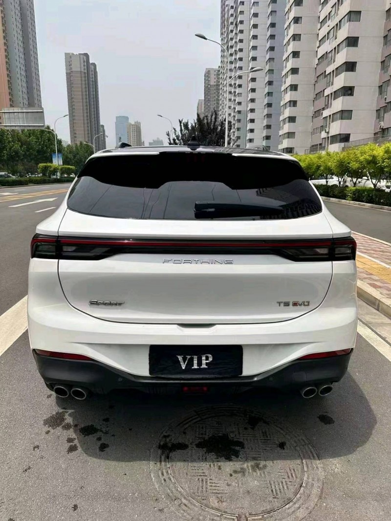 邯郸22年东风T59