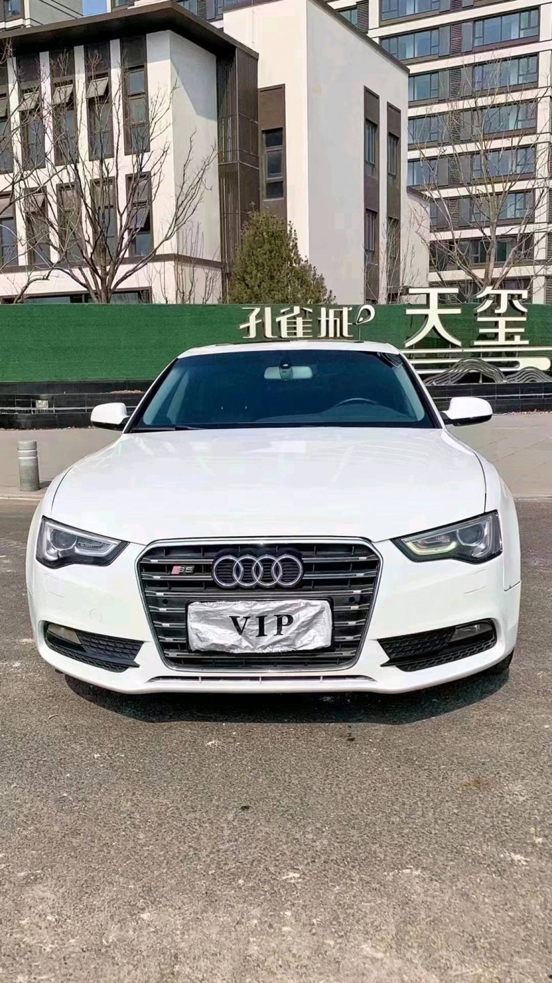 廊坊13年奥迪A51