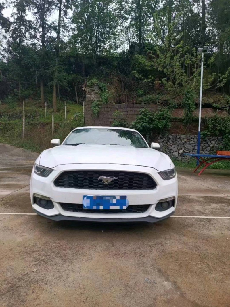 衡阳15年福特野马1