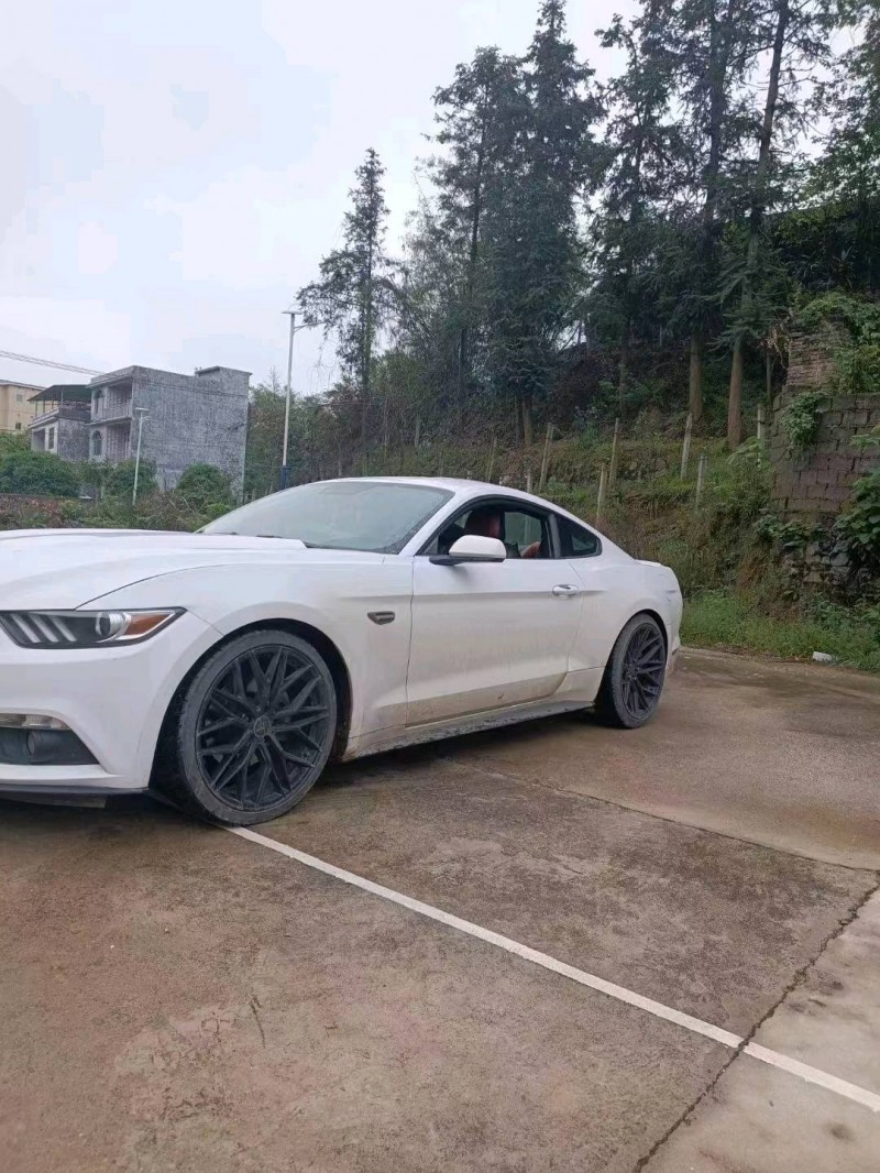 衡阳15年福特野马5