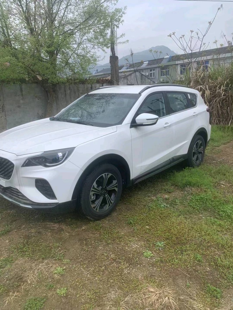 济宁23年东南汽车DX83