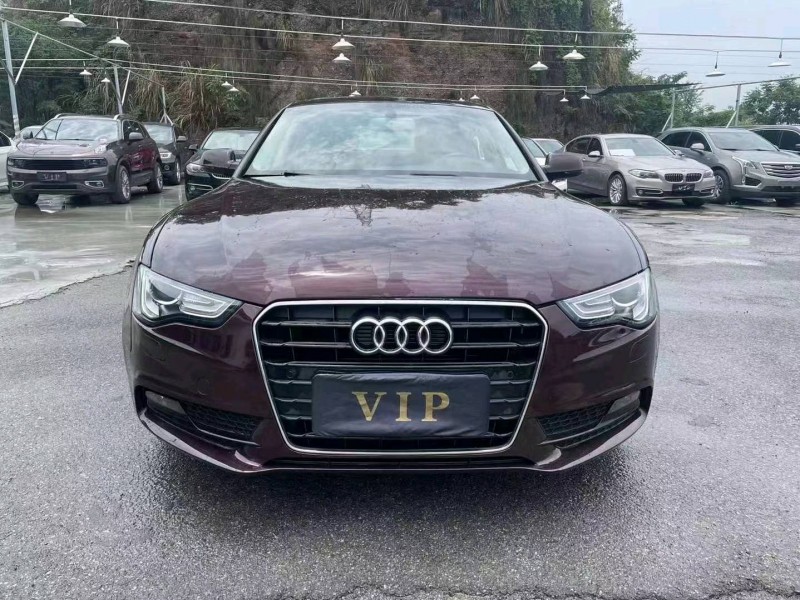 宜昌16年奥迪A51