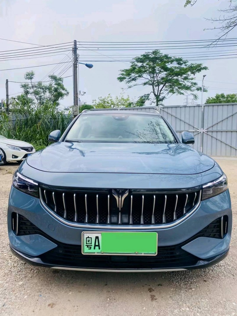 廣州22年嵐圖汽車FREE1