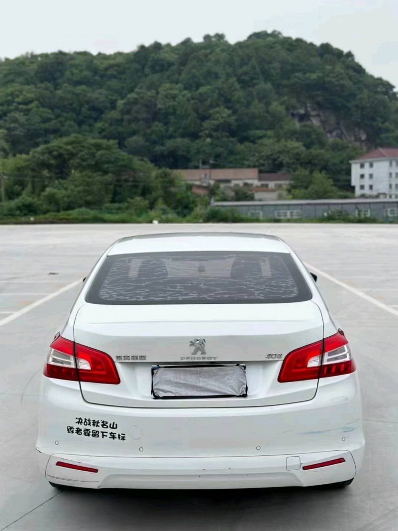 嘉兴16年标致4084