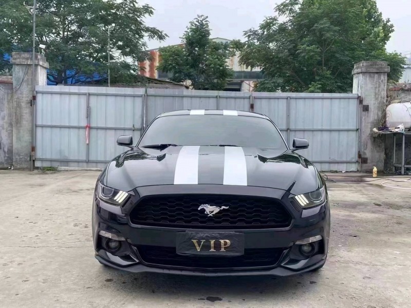 济宁17年福特金牛座1