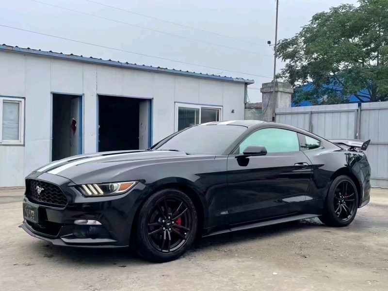 济宁17年福特金牛座3