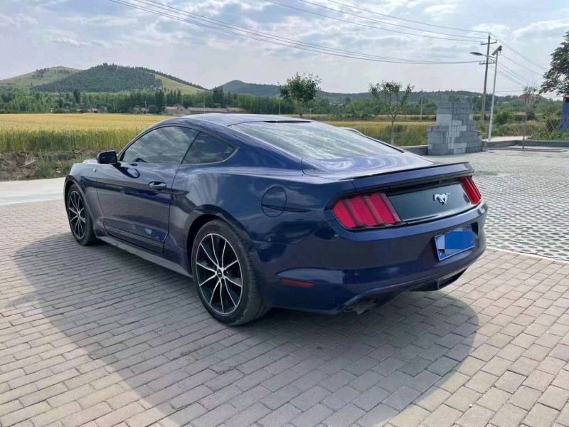 枣庄15年福特野马7