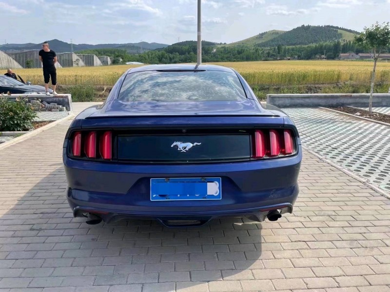 枣庄15年福特野马9