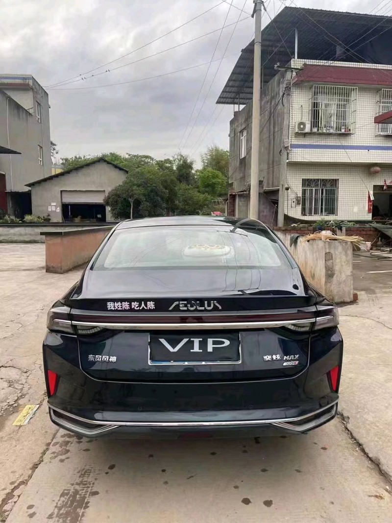 泸州22年东风奕炫7