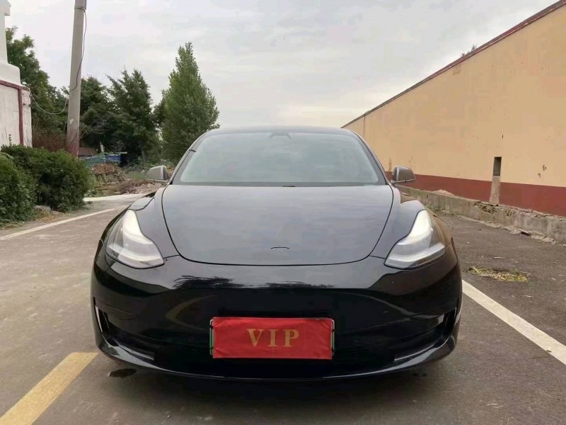 东营20年特斯拉MODEL 31