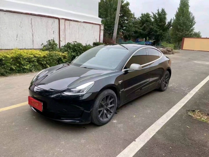 东营20年特斯拉MODEL 32