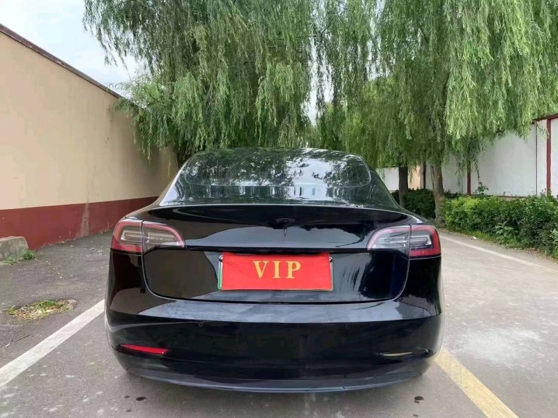 东营20年特斯拉MODEL 34