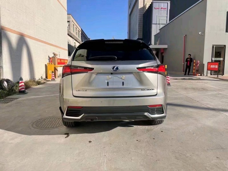 广州20年雷克萨斯NX9