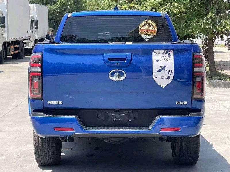 宜昌22年长城汽车炮 皮卡9