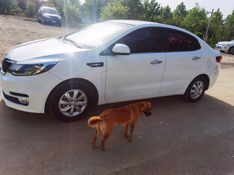 保定17年起亚K29