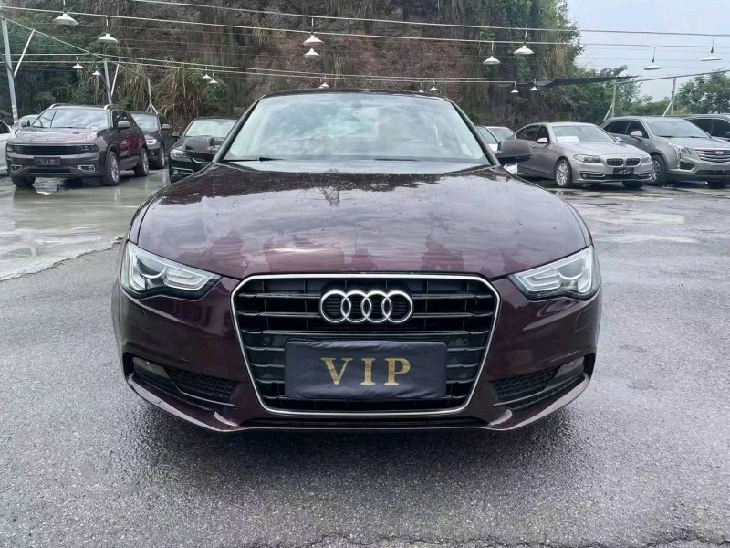 宜昌16年奥迪A51