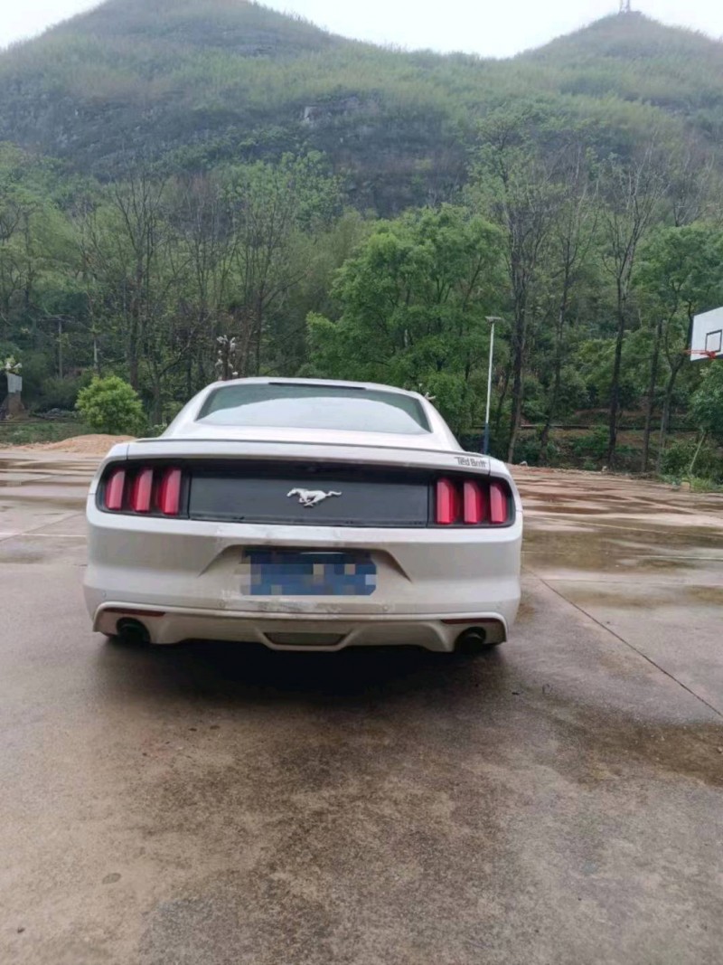 衡阳15年福特野马5