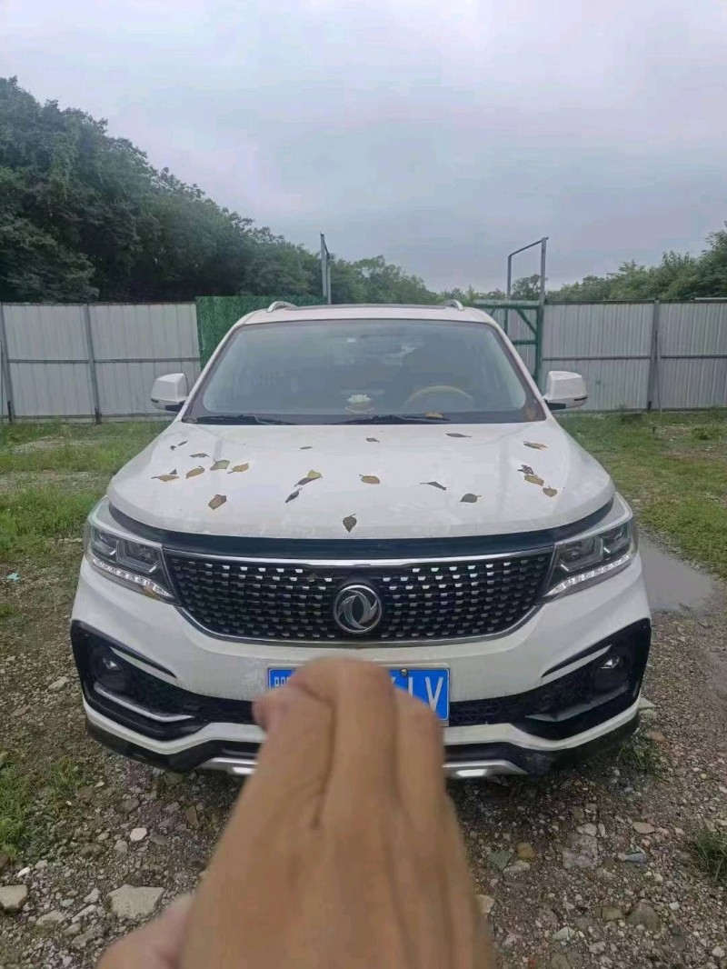 武汉17年东风景逸1