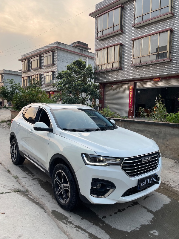 樂山20年哈弗H41