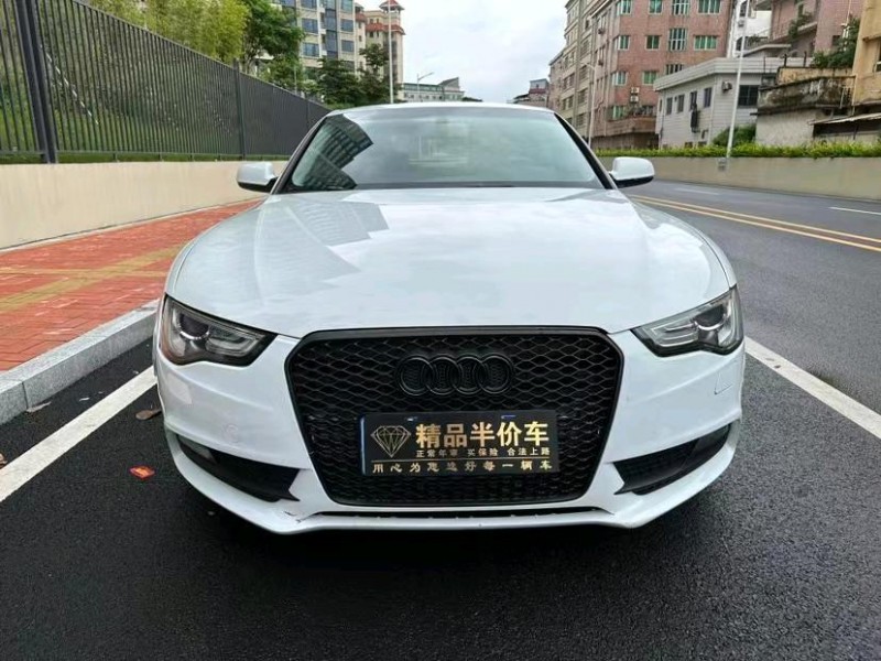 东莞14年奥迪A51