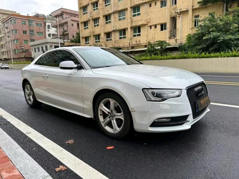 东莞14年奥迪A52