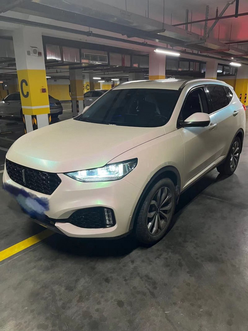 上海19年長城汽車WEY VV63