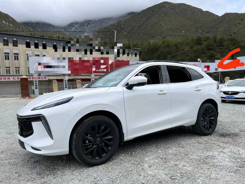 成都22年东风T52