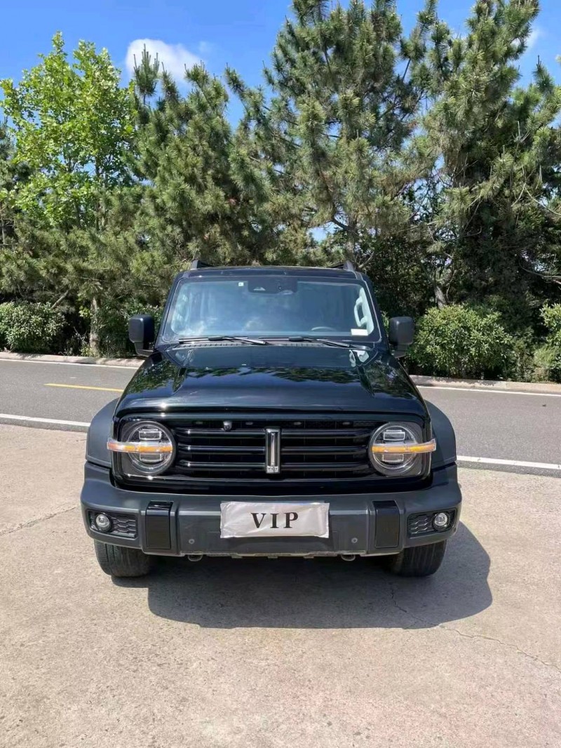 棗莊21年長城汽車坦克3001
