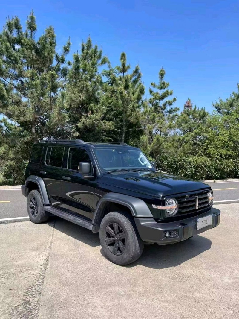 棗莊21年長城汽車坦克3003