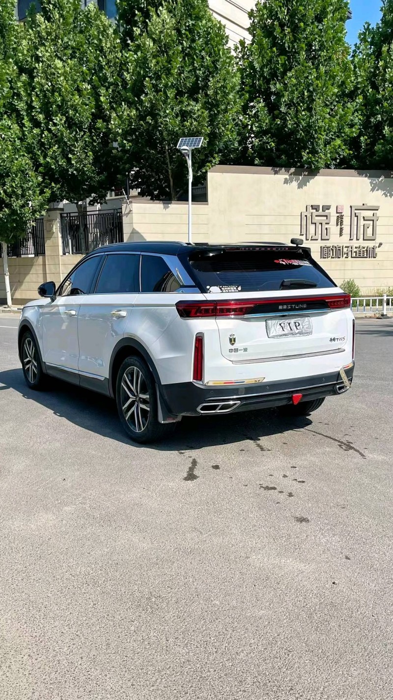 廊坊20年奔騰T998