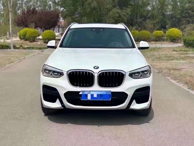 东营20年宝马X31