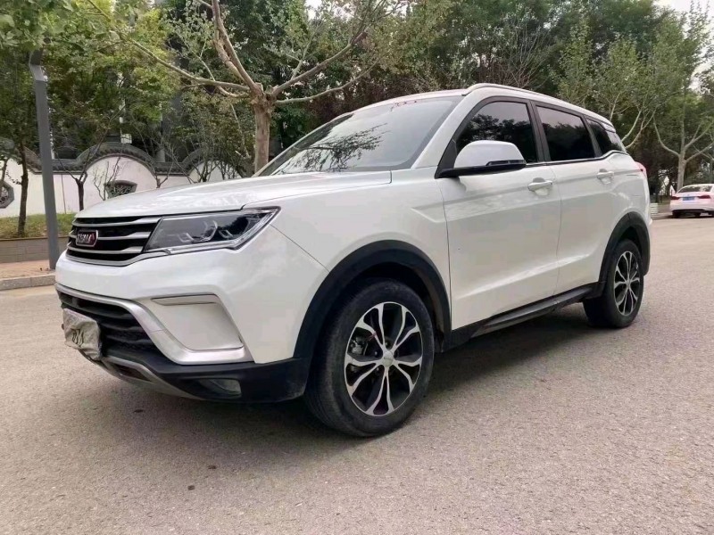 邯鄲20年野馬汽車博駿3