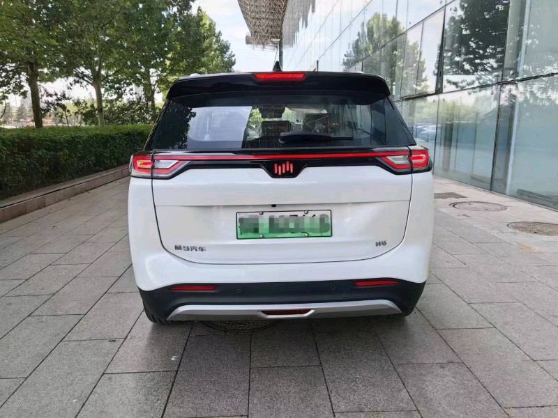 邯郸23年威马汽车W62